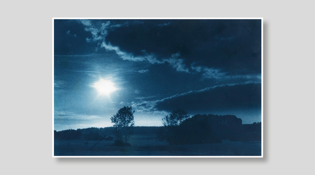 Britta Holzapfel Foto einer Landschaft mit Büschen und Wiese in Blautönen